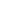VAPI logo